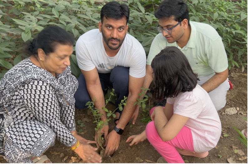  Tree Plantation